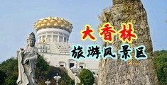 最好看免费观看高清乱伦视频中国浙江-绍兴大香林旅游风景区